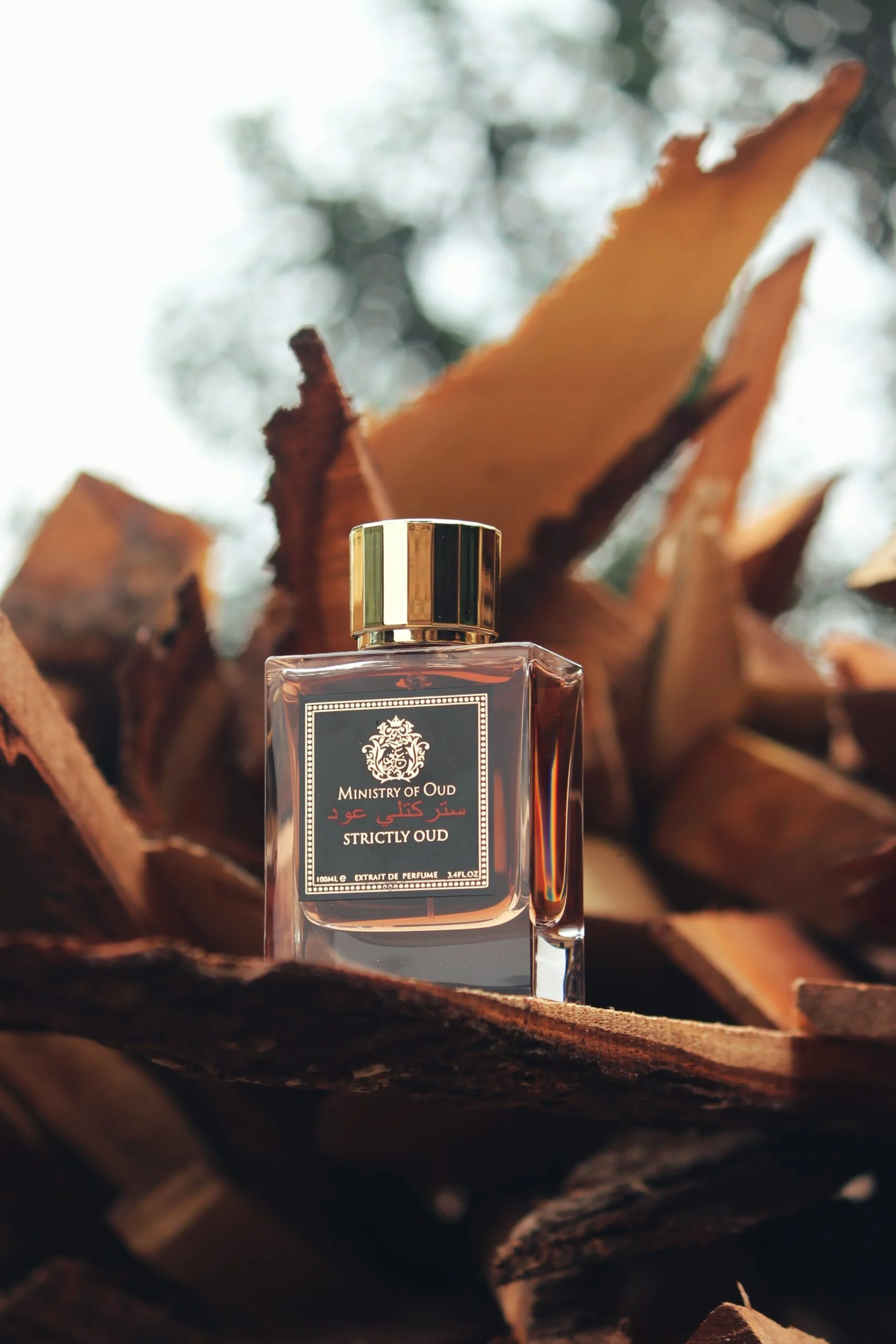 MINISTRY OF OUD - STRICTLY OUD - Image 3