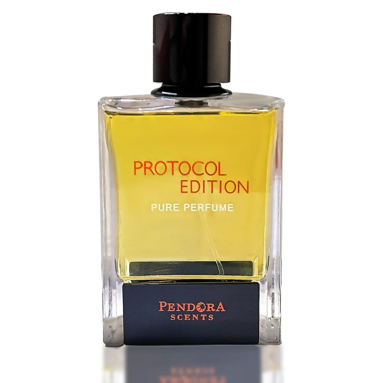 PROTOCOL EDITION - Image 3