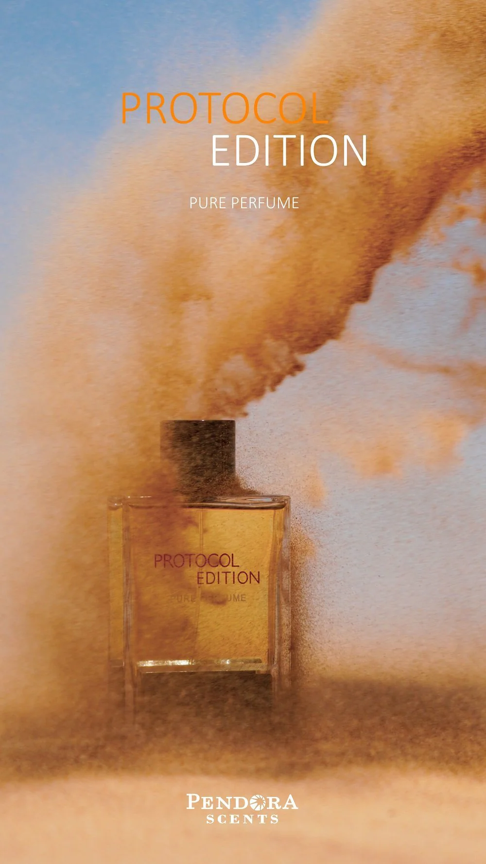 PROTOCOL EDITION - Image 4