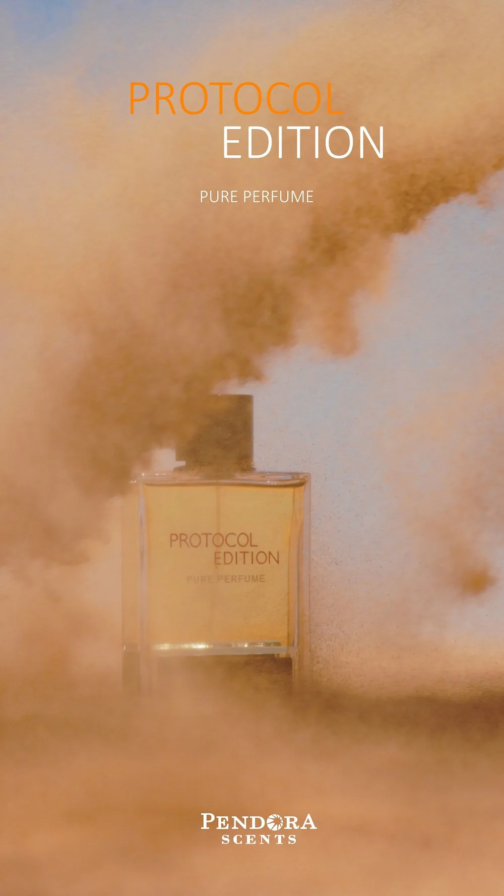 PROTOCOL EDITION - Image 5